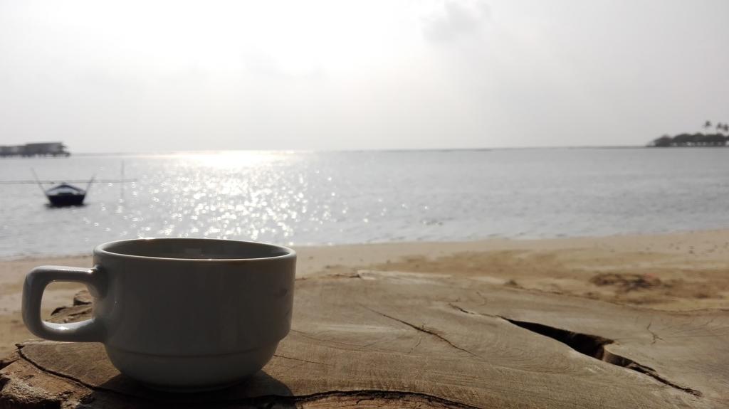 Rip Tide Vacation Inn, K.Guraidhoo Guraidhoo  Eksteriør bilde