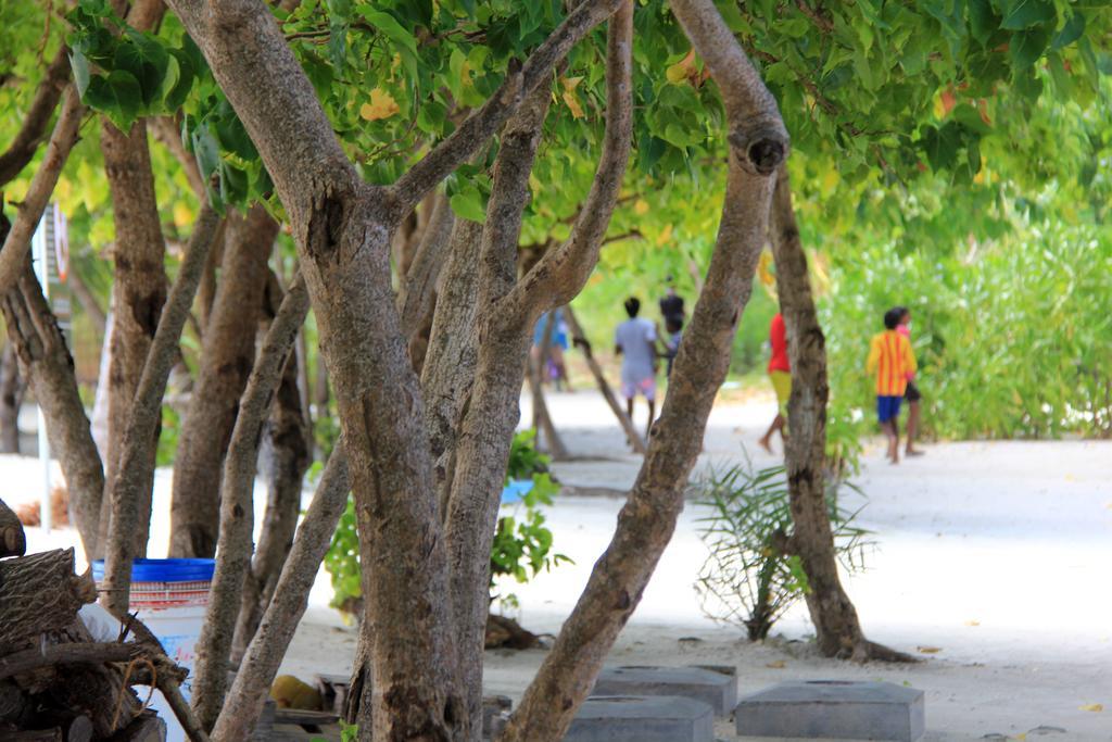 Rip Tide Vacation Inn, K.Guraidhoo Guraidhoo  Eksteriør bilde