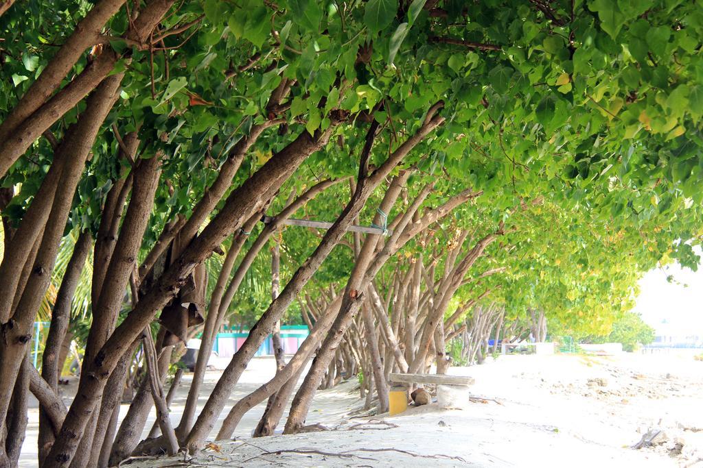 Rip Tide Vacation Inn, K.Guraidhoo Guraidhoo  Eksteriør bilde