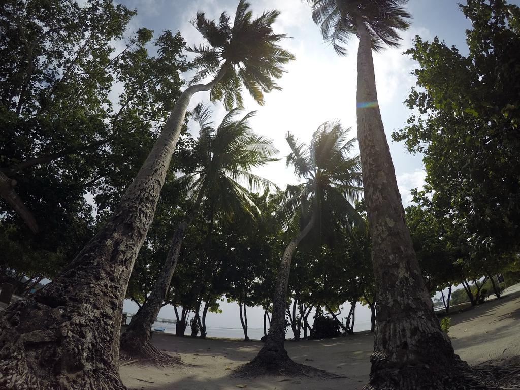 Rip Tide Vacation Inn, K.Guraidhoo Guraidhoo  Eksteriør bilde
