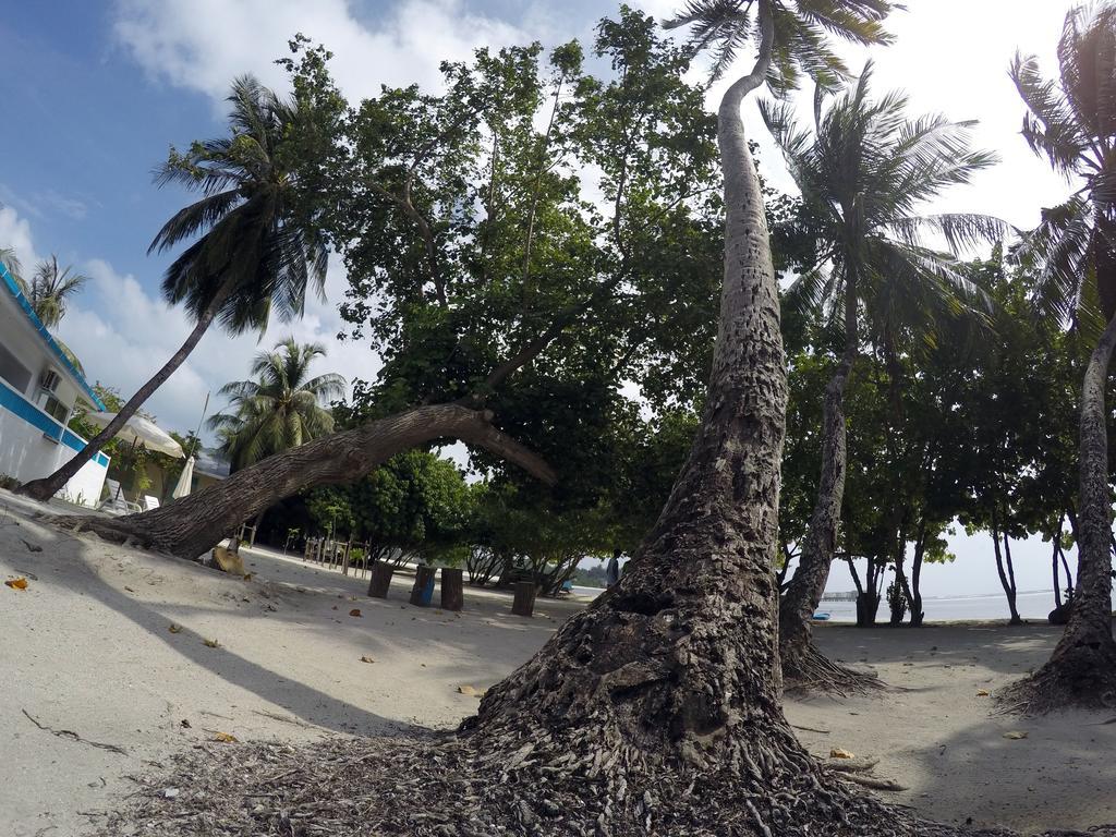 Rip Tide Vacation Inn, K.Guraidhoo Guraidhoo  Eksteriør bilde