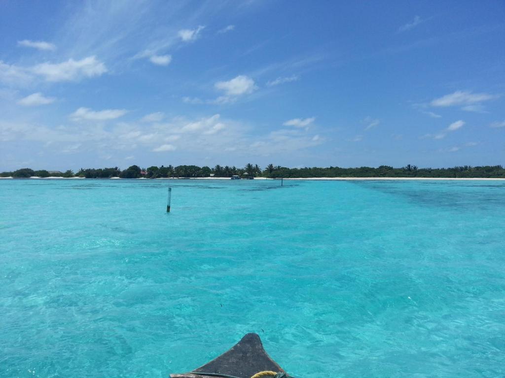 Rip Tide Vacation Inn, K.Guraidhoo Guraidhoo  Eksteriør bilde