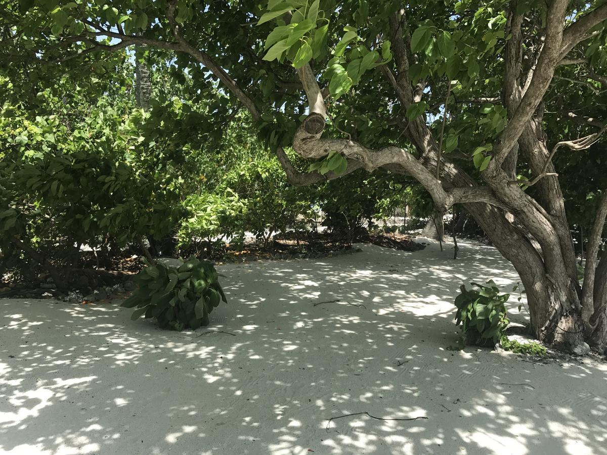 Rip Tide Vacation Inn, K.Guraidhoo Guraidhoo  Eksteriør bilde