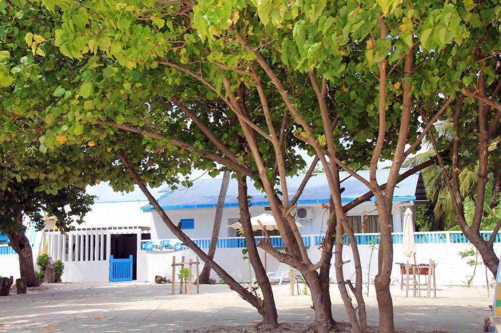 Rip Tide Vacation Inn, K.Guraidhoo Guraidhoo  Eksteriør bilde